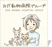[制作実績]おだ動物病院様
