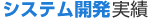システム開発実績