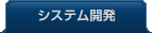 システム開発